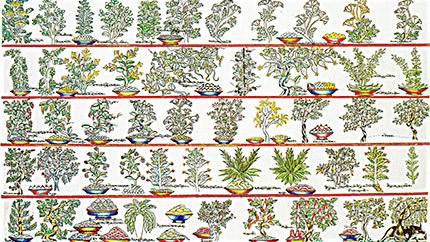 藏藥材資源分布、發(fā)展史